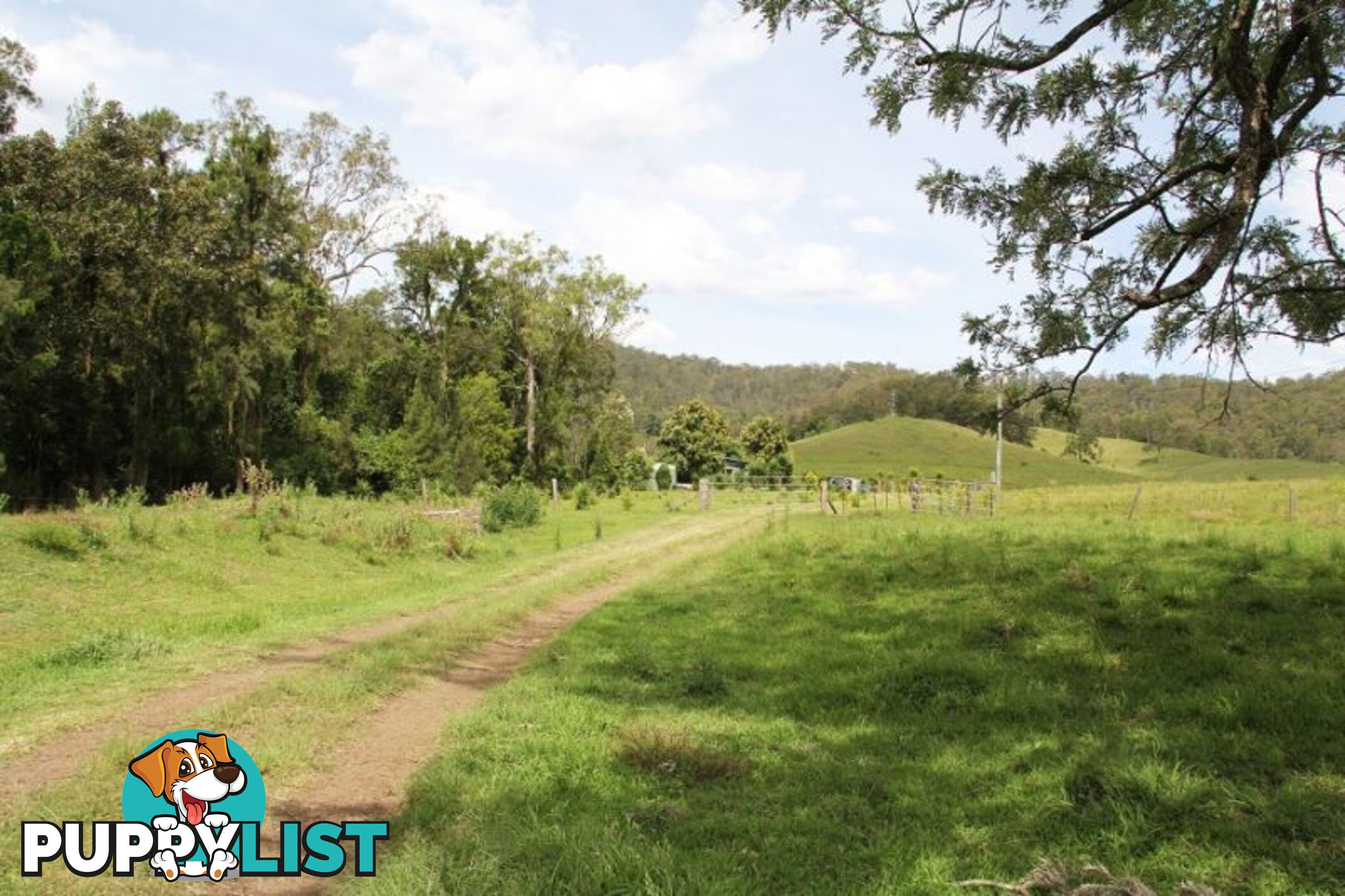 18 Gonpa Road Collins Creek NSW 2474