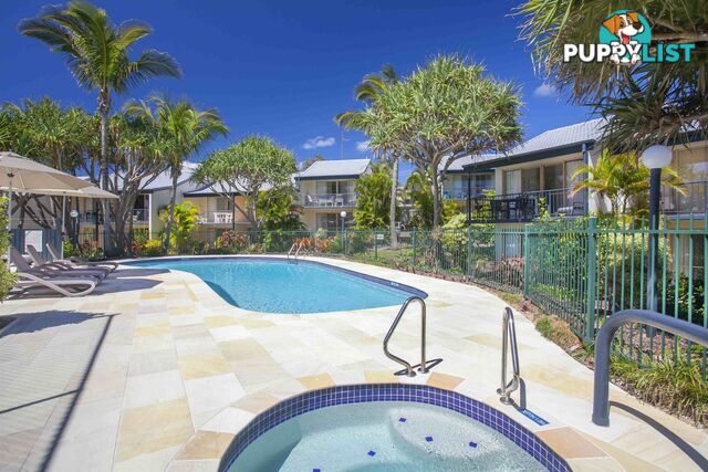 8 75 David Low Way Sunrise Beach QLD 4567