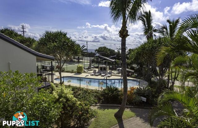 8 75 David Low Way Sunrise Beach QLD 4567