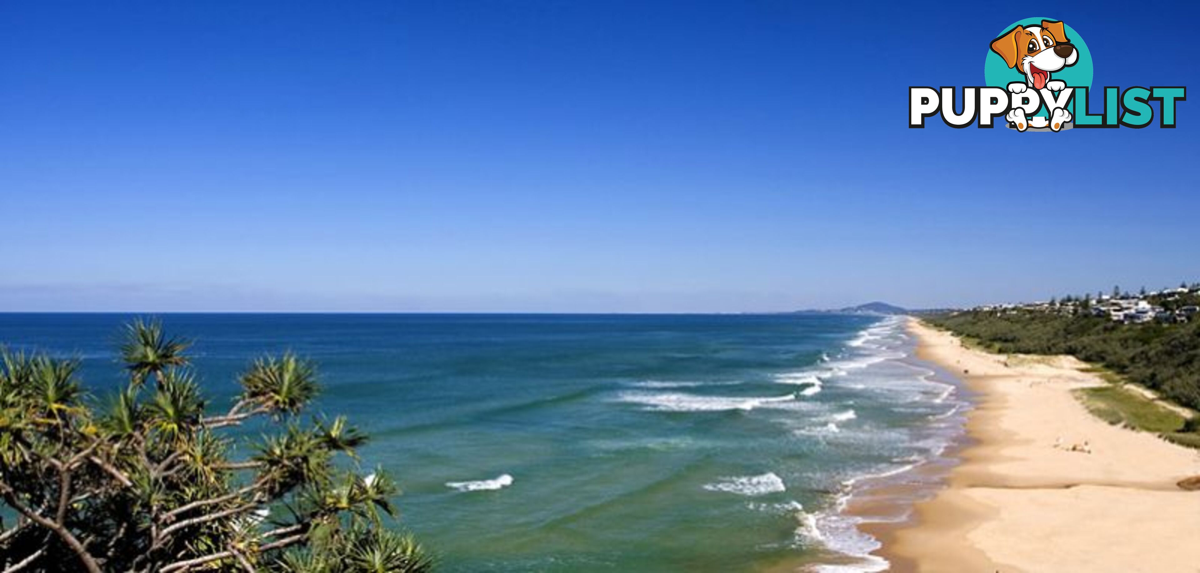 8 75 David Low Way Sunrise Beach QLD 4567