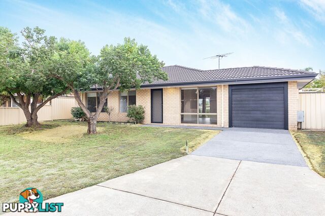 10 Solva Place Seville Grove WA 6112