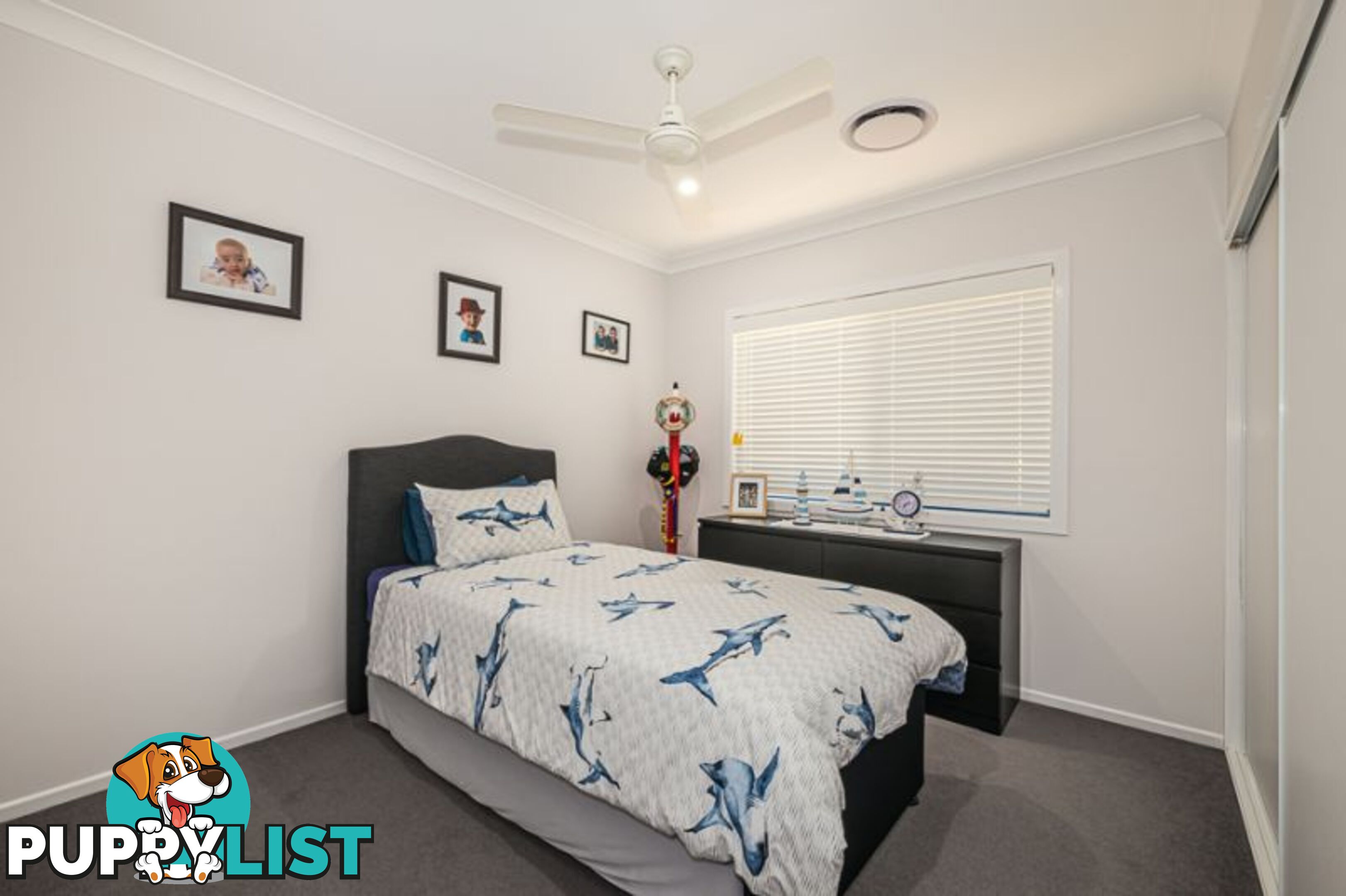 23 Treefrog Street Ningi QLD 4511