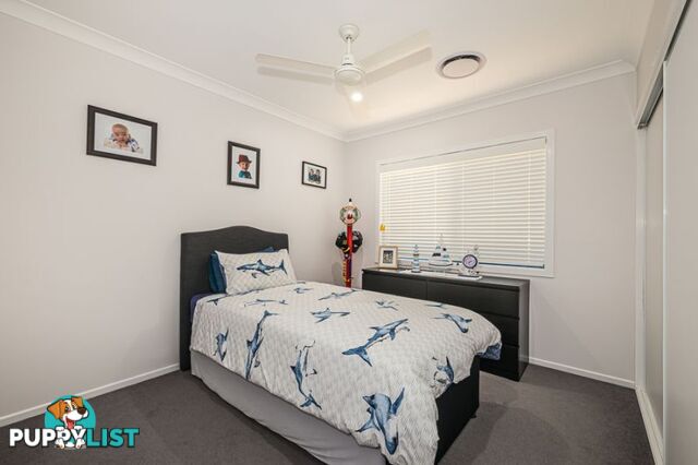 23 Treefrog Street Ningi QLD 4511