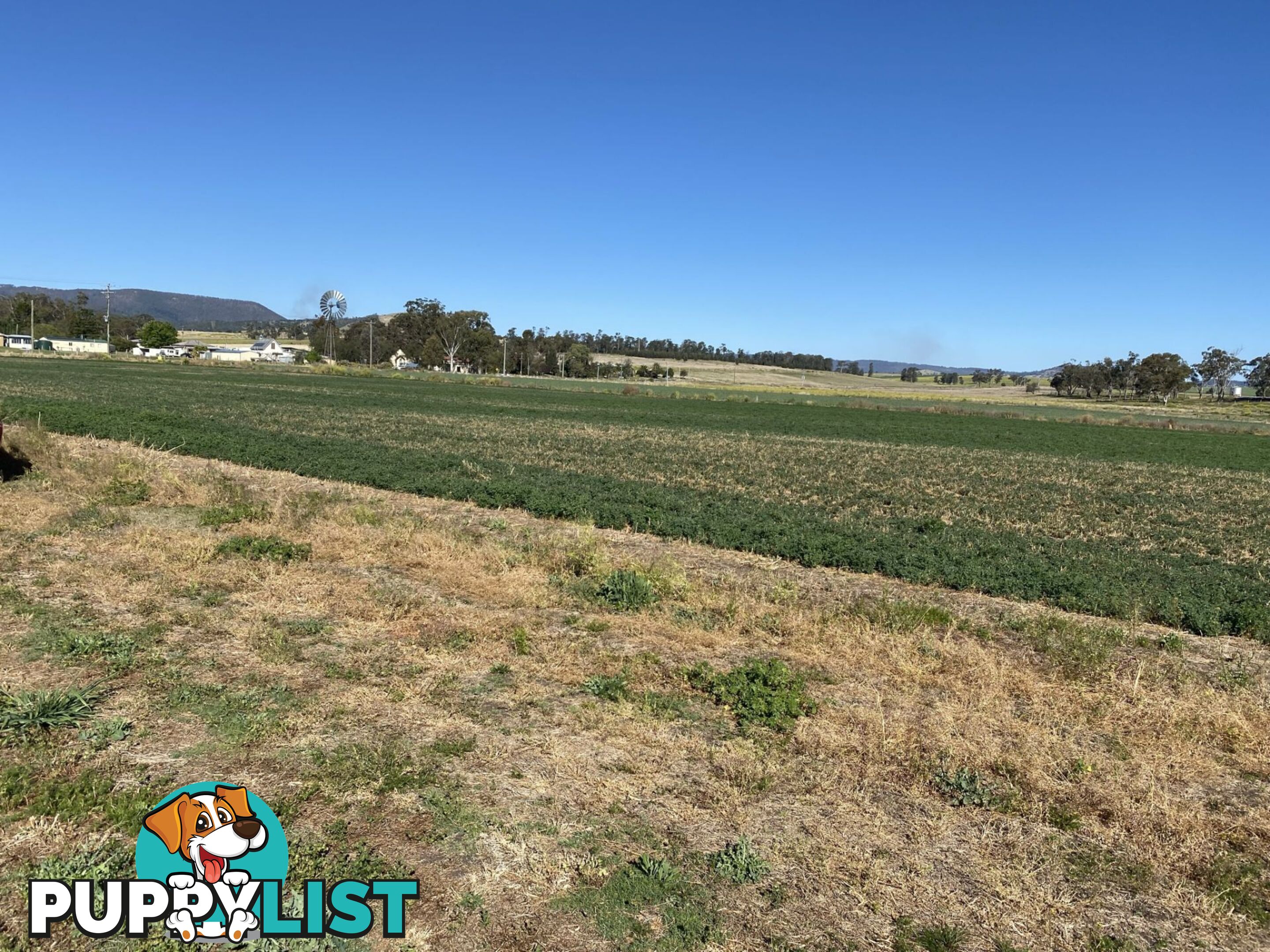 Lot 15 Tannymorel Road Tannymorel QLD 4372