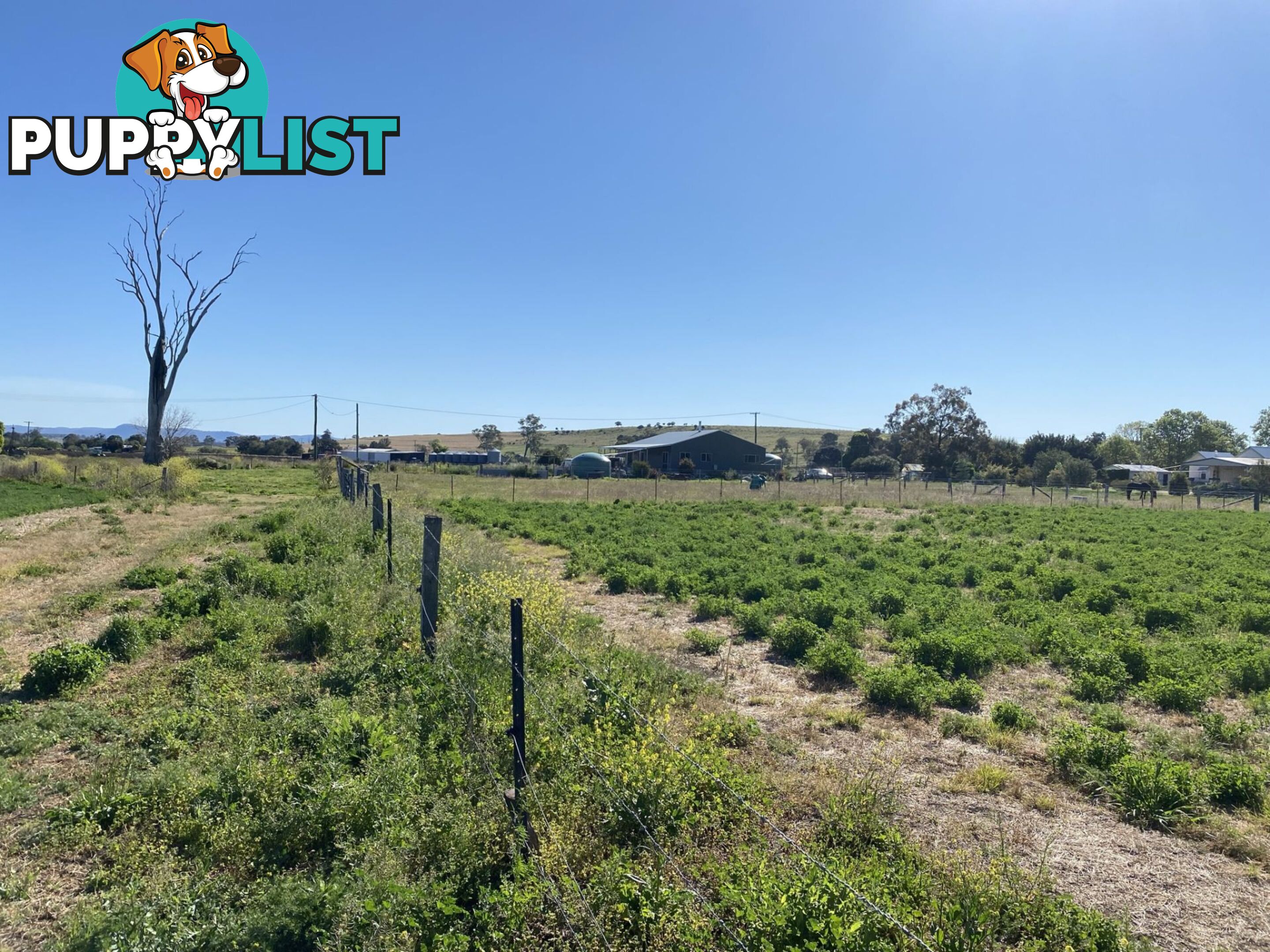 Lot 15 Tannymorel Road Tannymorel QLD 4372