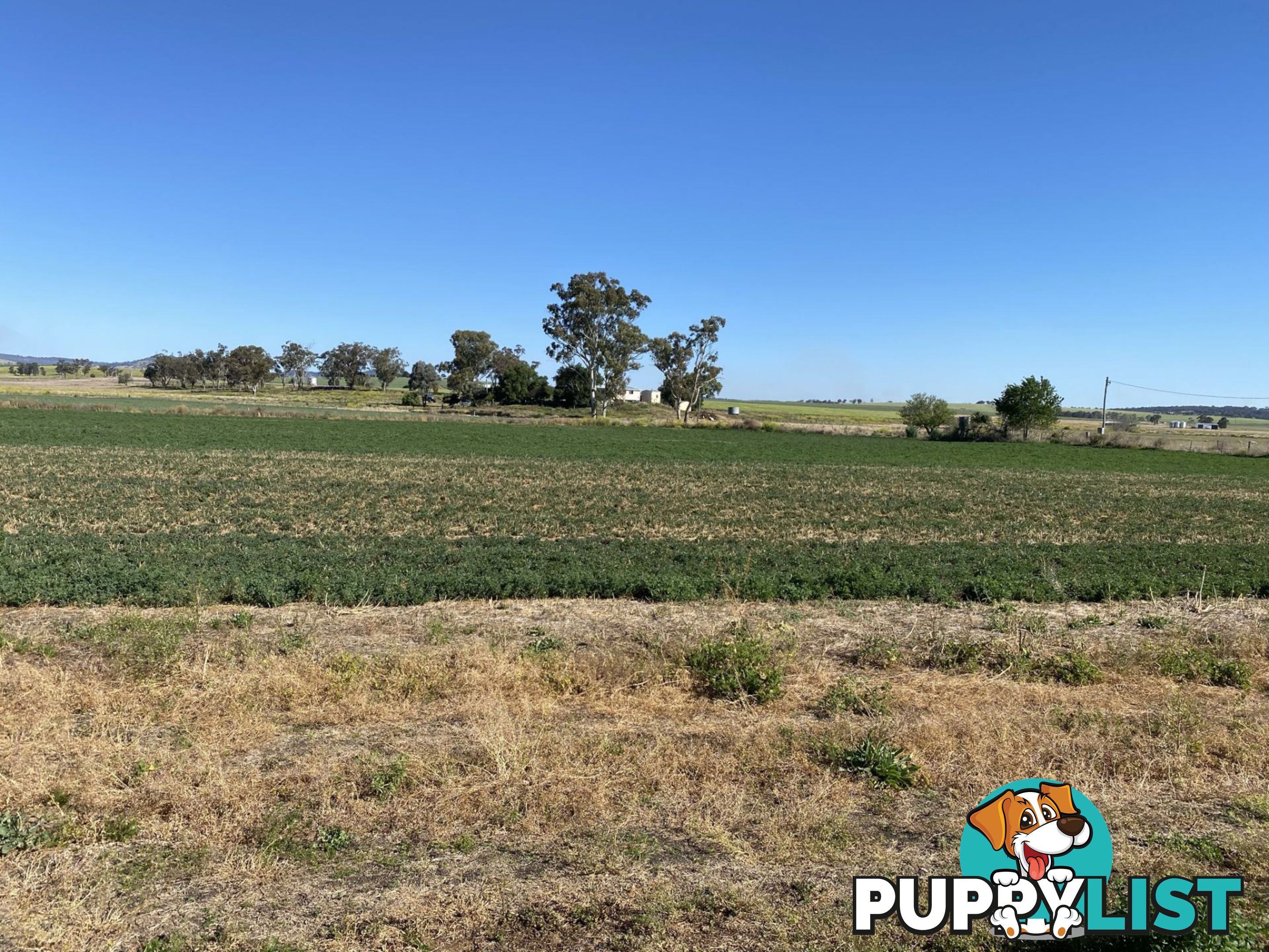 Lot 15 Tannymorel Road Tannymorel QLD 4372