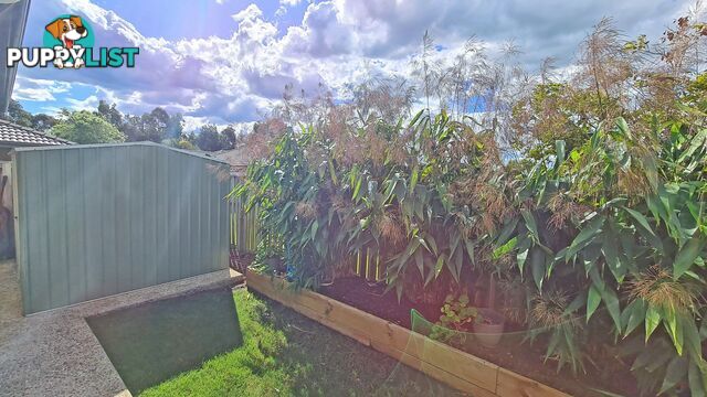 22 Millstream Place Pimpama QLD 4209