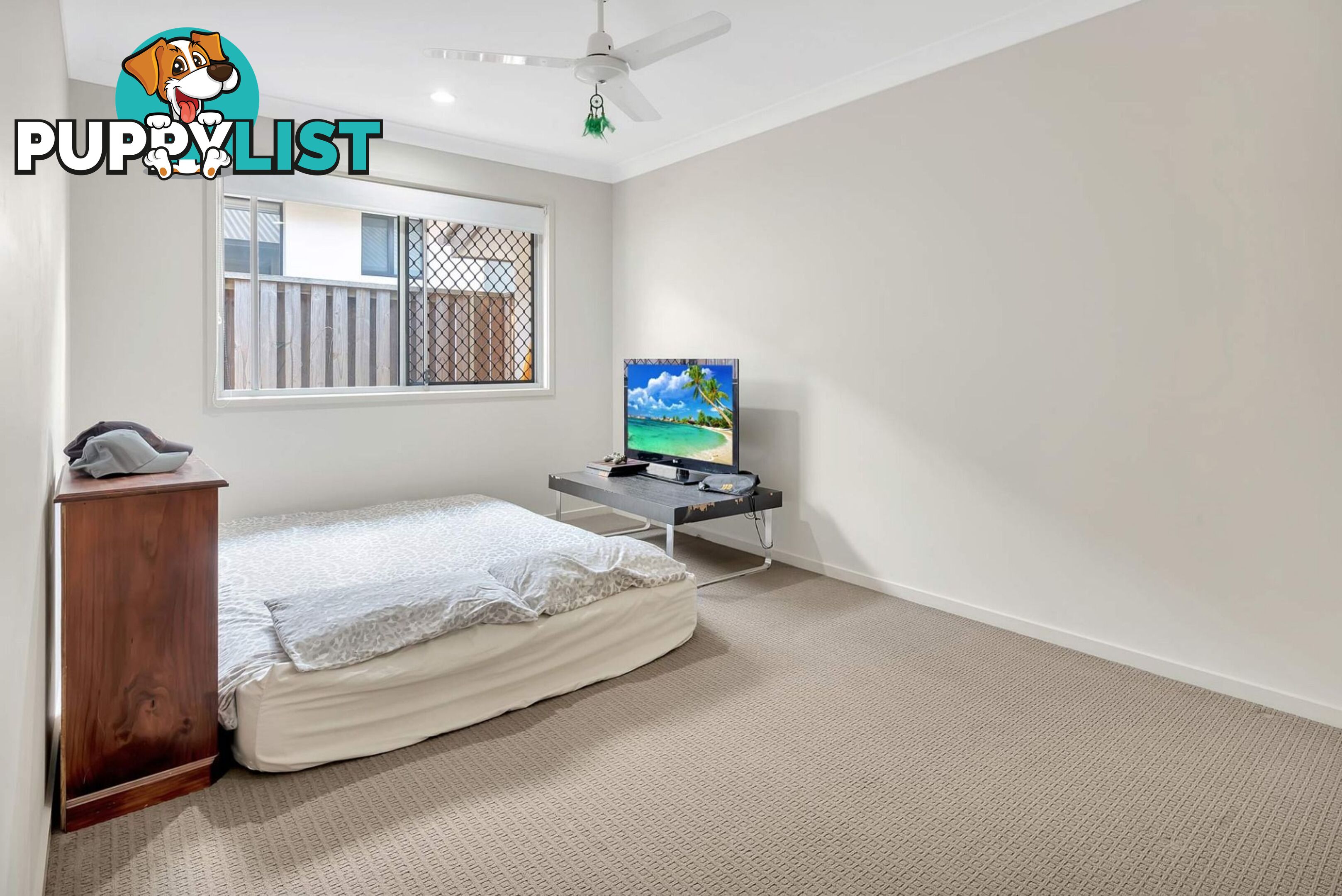 8 Danbulla Street Pimpama QLD 4209