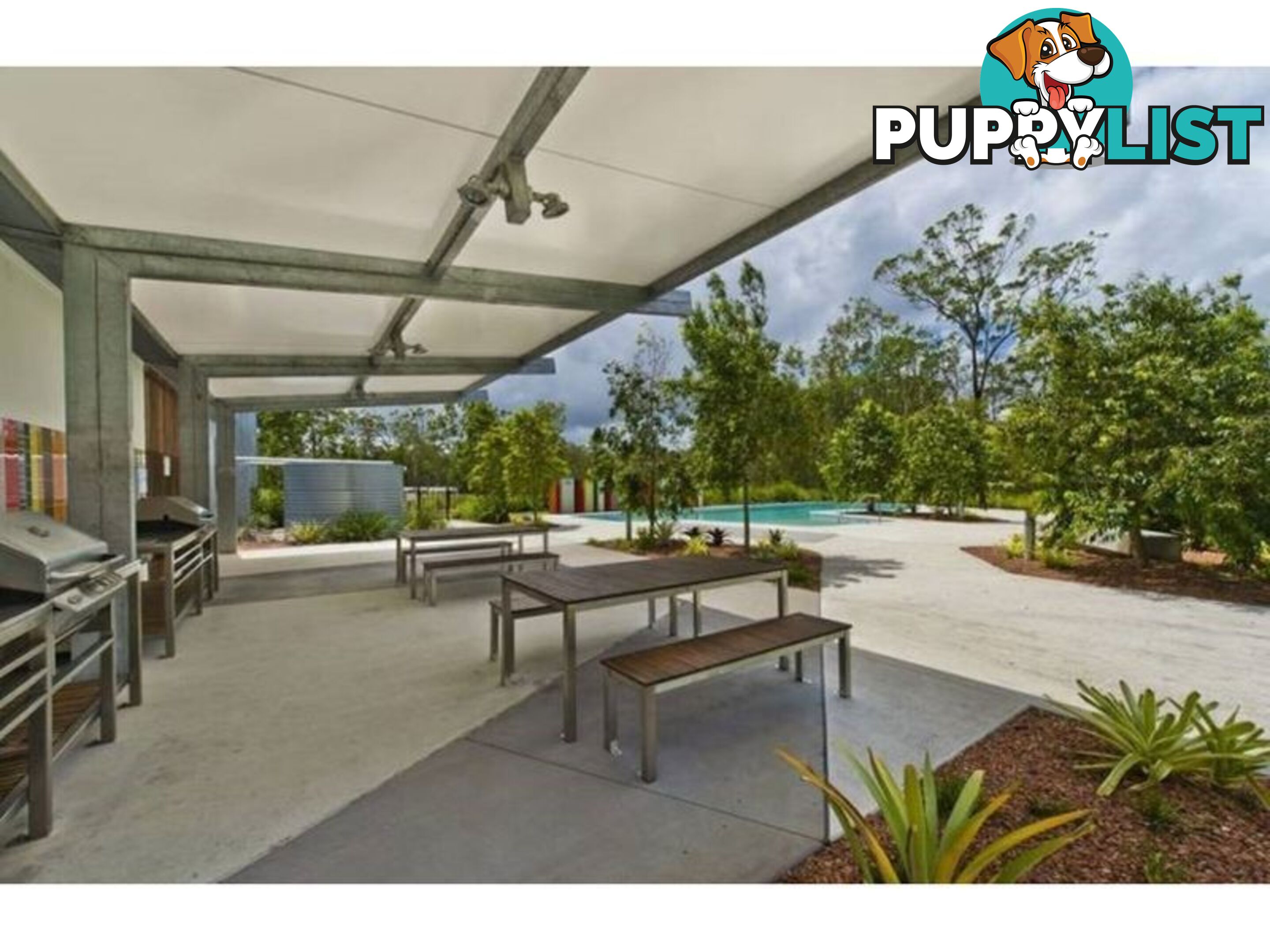 8 Danbulla Street Pimpama QLD 4209