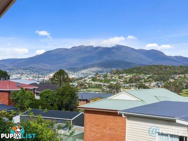 39 Bayfield Street Bellerive TAS 7018