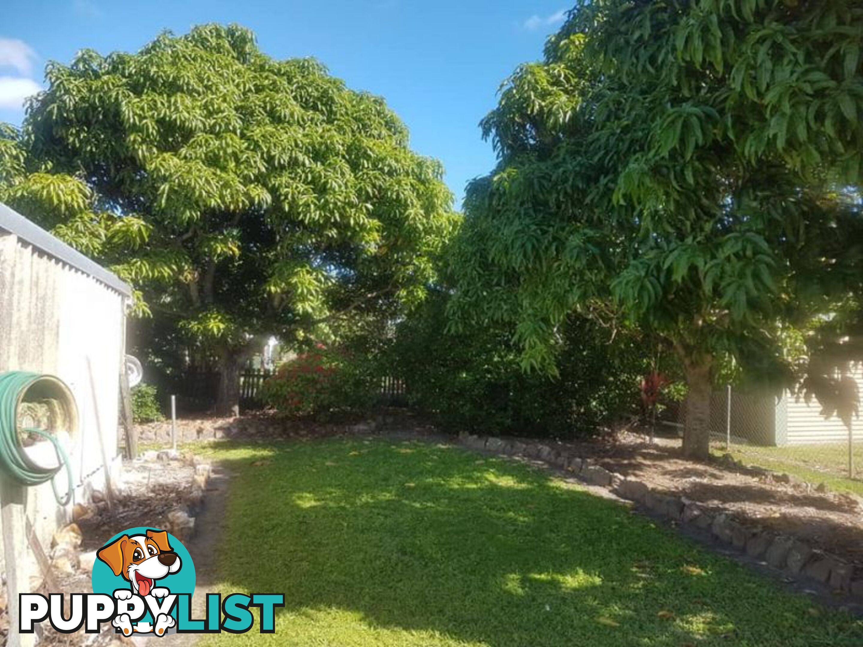 139 Arnaud Street Granville QLD 4650