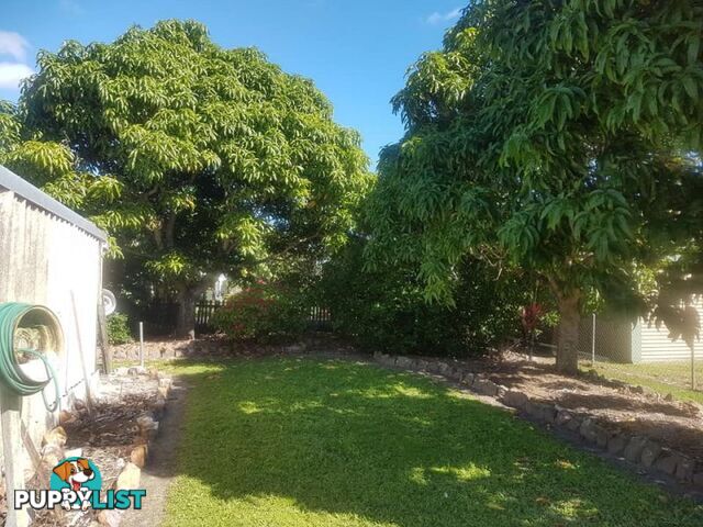 139 Arnaud Street Granville QLD 4650