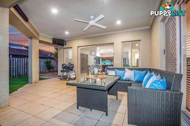 14 Whitely Circuit Maudsland QLD 4210