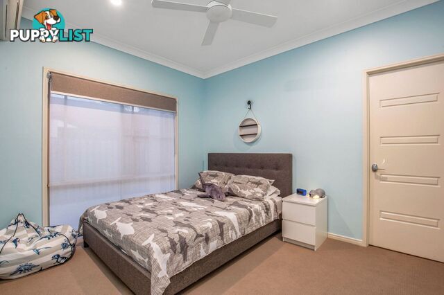 14 Whitely Circuit Maudsland QLD 4210