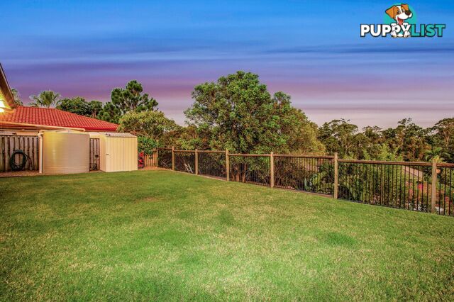 14 Whitely Circuit Maudsland QLD 4210