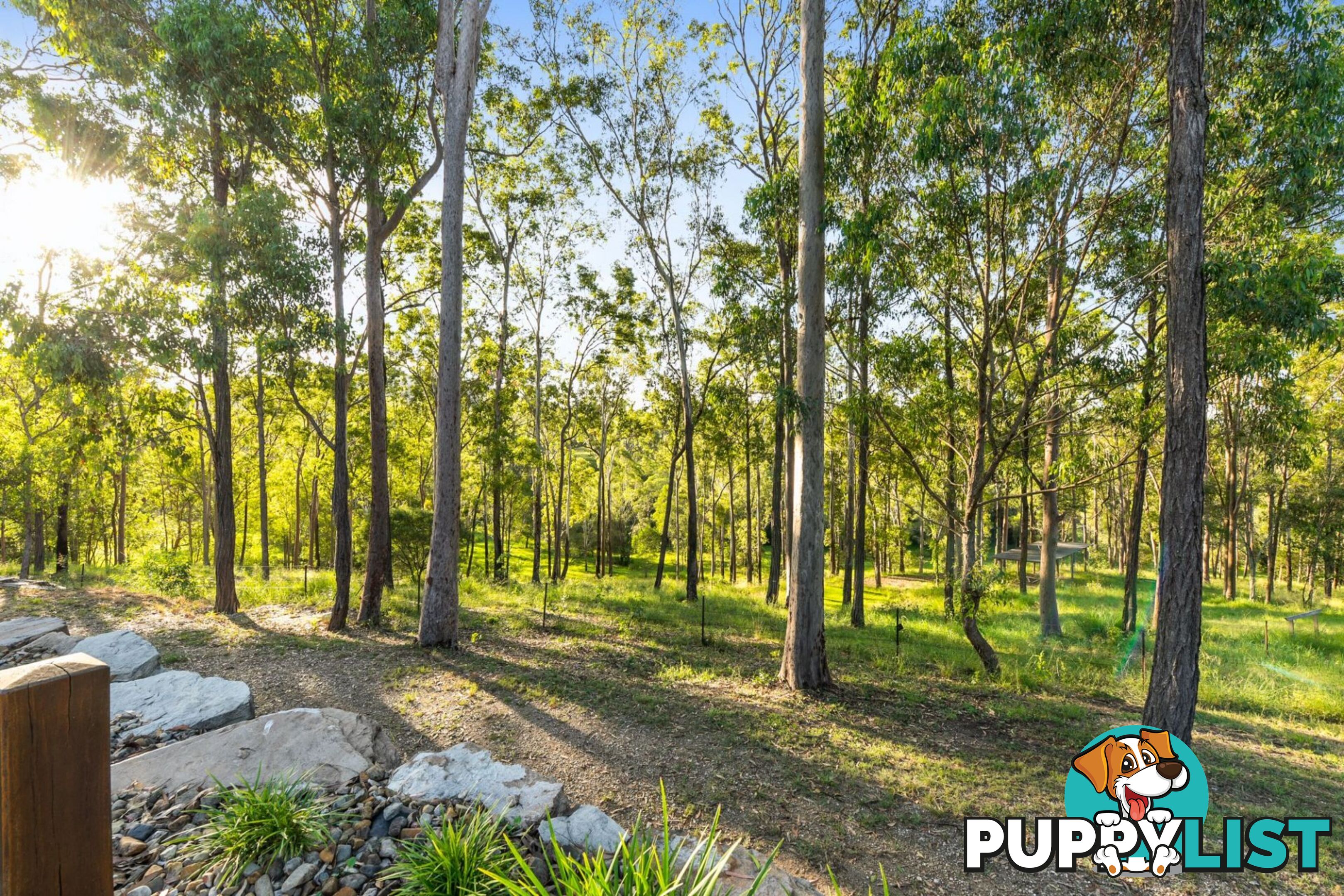 193 Alf Dobson Road Narangba QLD 4504