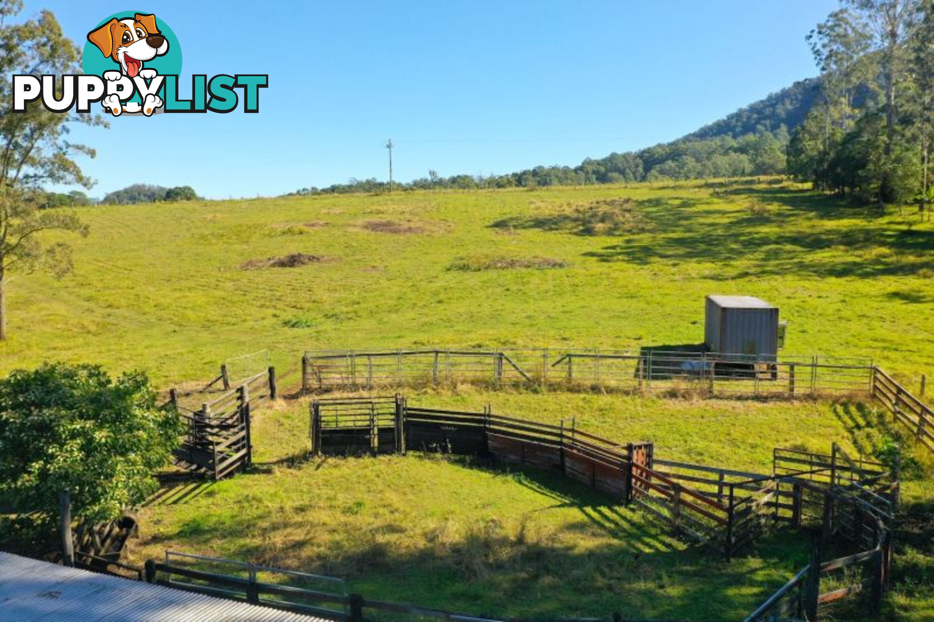 5 Hensen Road Nimbin NSW 2480