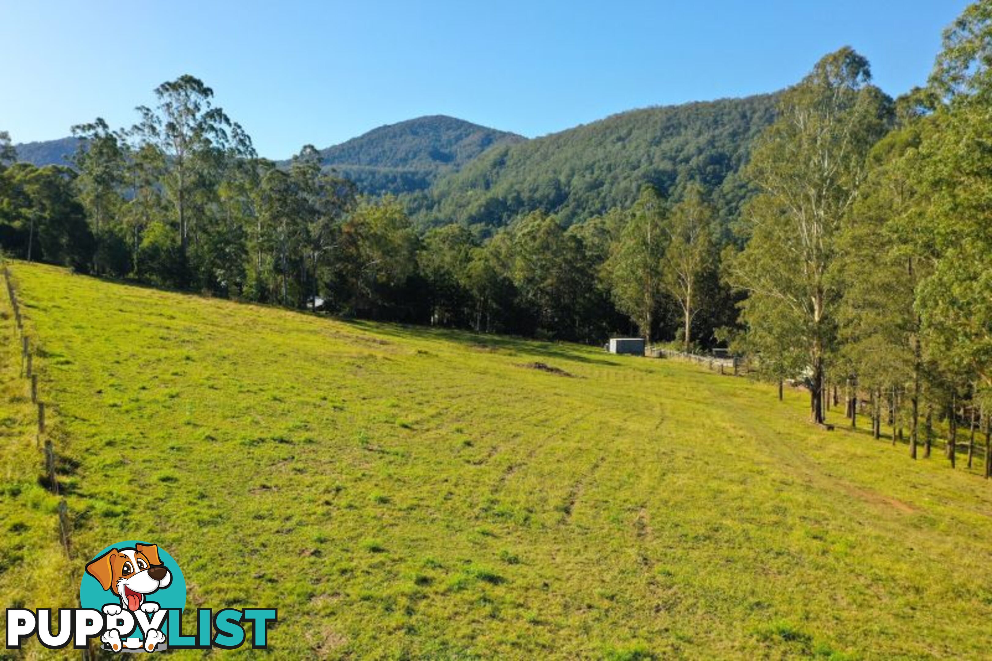 5 Hensen Road Nimbin NSW 2480