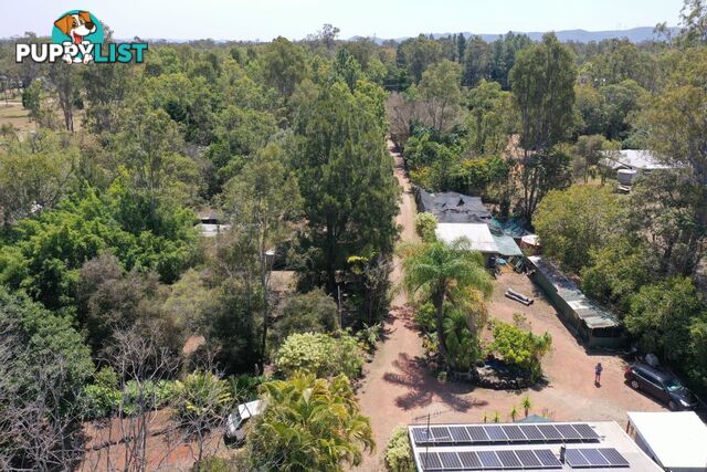 161 River Road Millstream QLD 4888