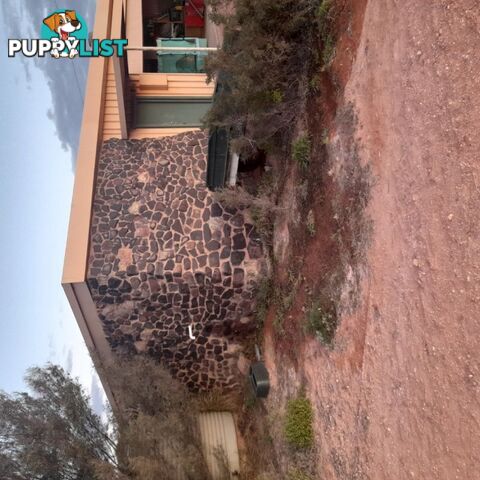 826 Paxton Road Coober Pedy SA 5723