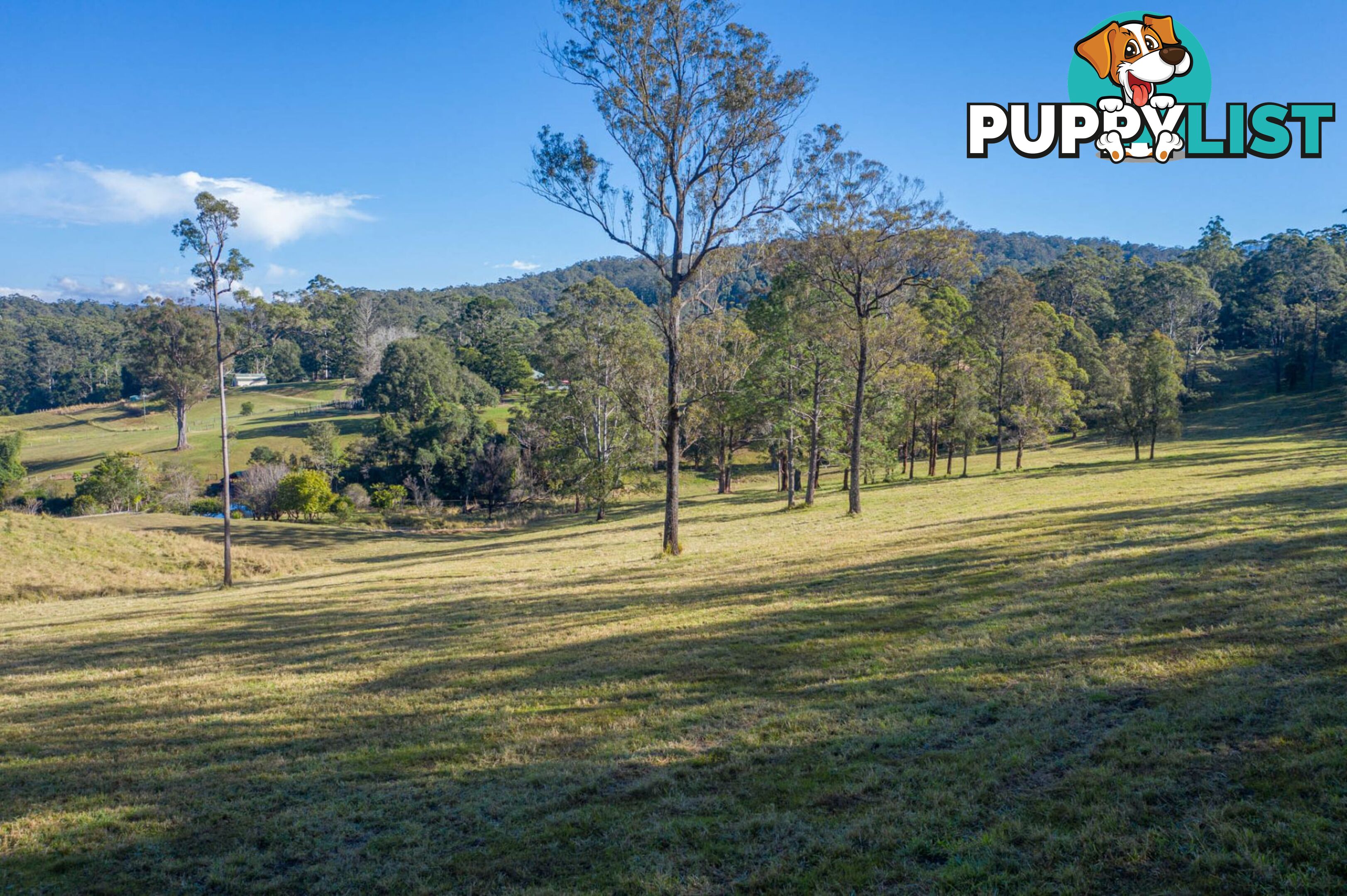 4358 Kyogle Road LILLIAN ROCK NSW 2480