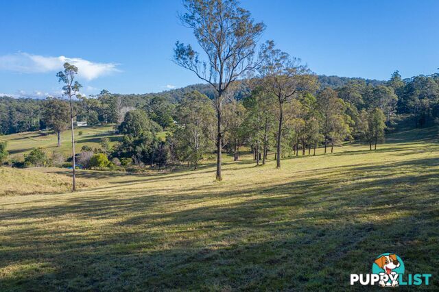 4358 Kyogle Road LILLIAN ROCK NSW 2480