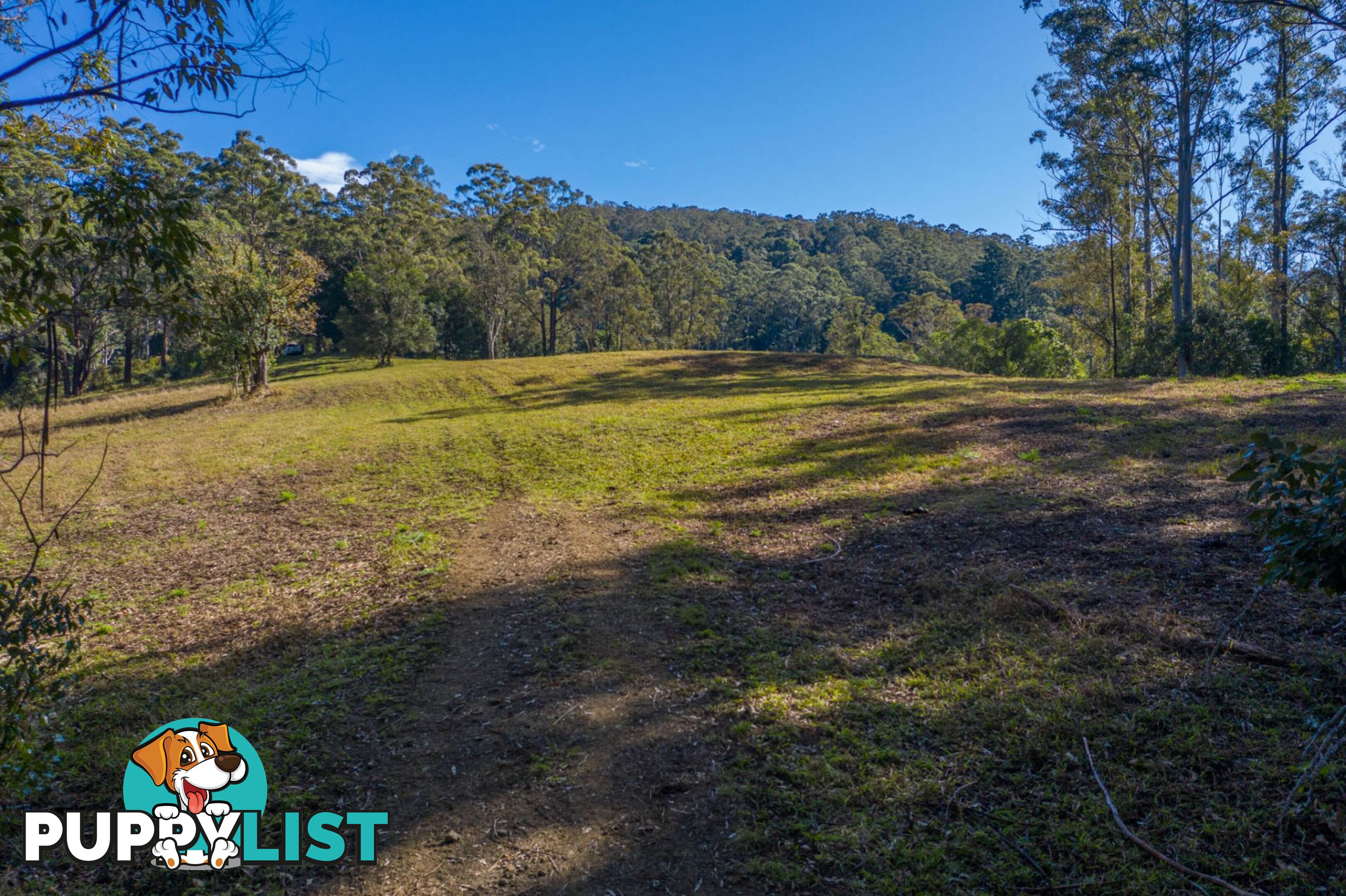 4358 Kyogle Road LILLIAN ROCK NSW 2480