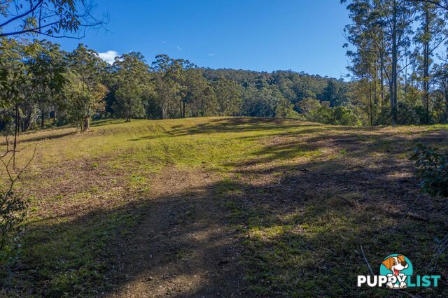 4358 Kyogle Road LILLIAN ROCK NSW 2480