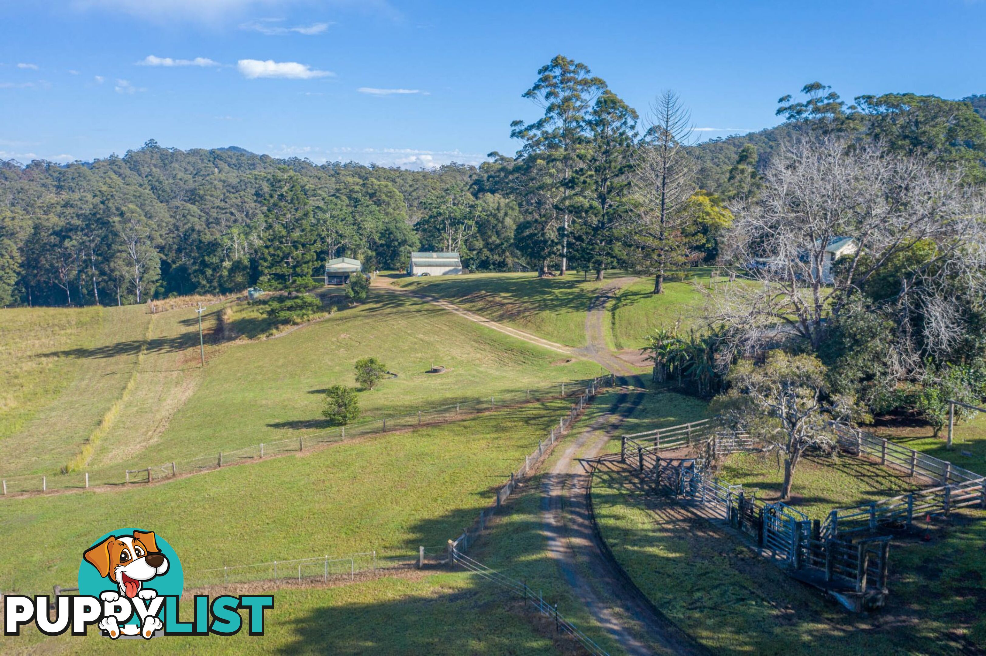 4358 Kyogle Road LILLIAN ROCK NSW 2480