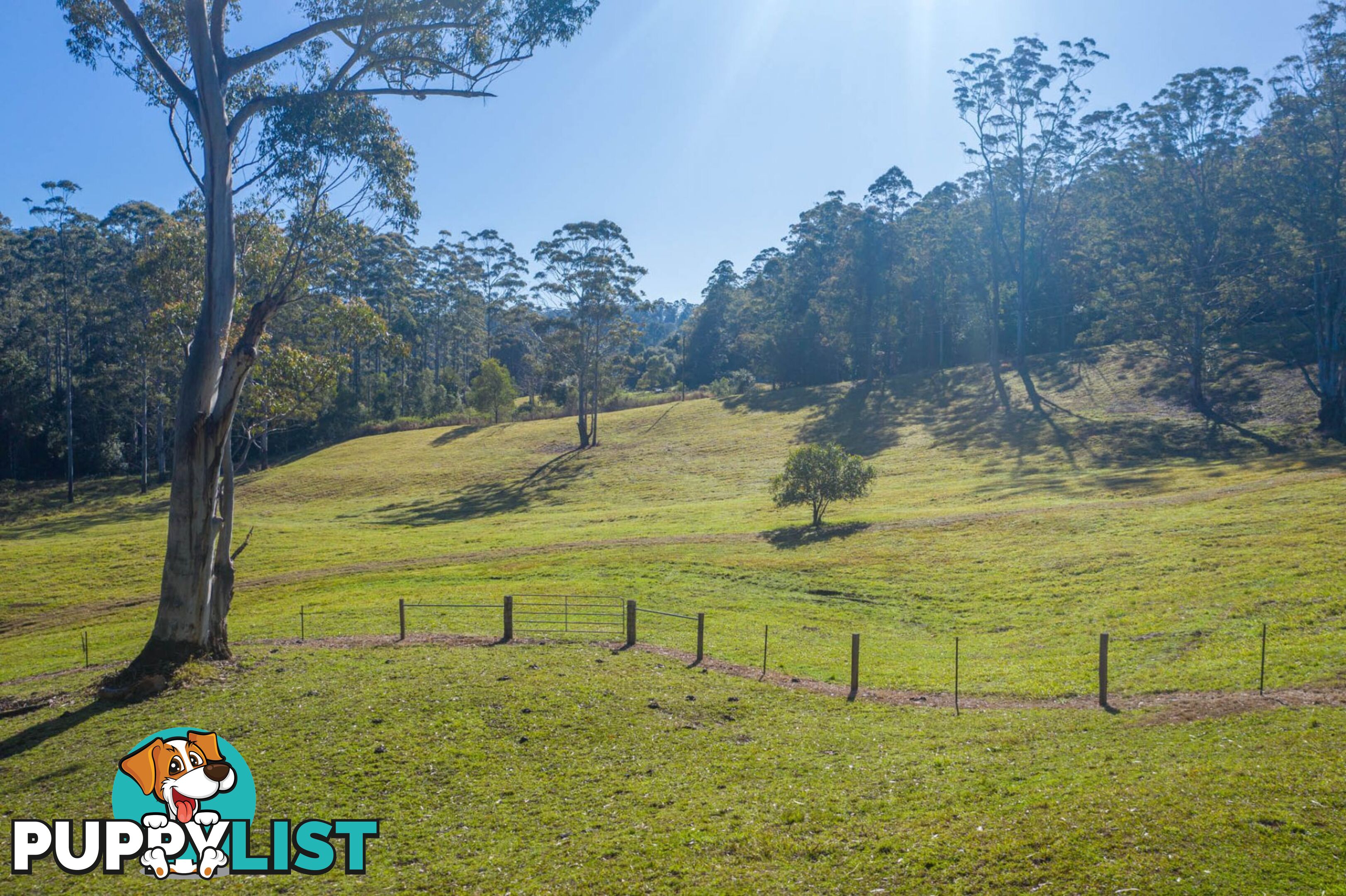 4358 Kyogle Road LILLIAN ROCK NSW 2480