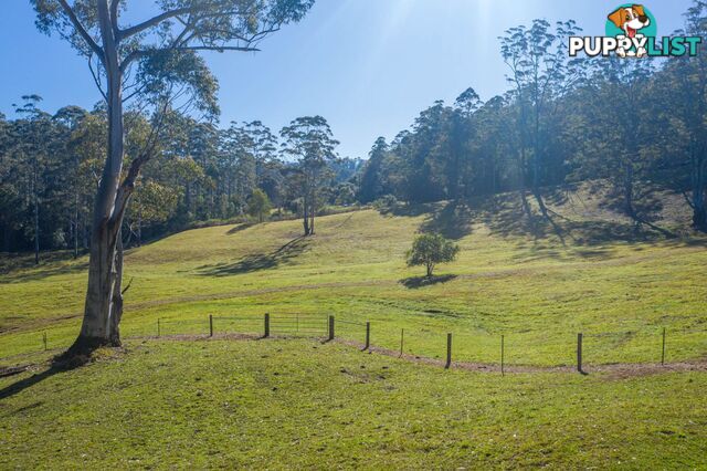 4358 Kyogle Road LILLIAN ROCK NSW 2480