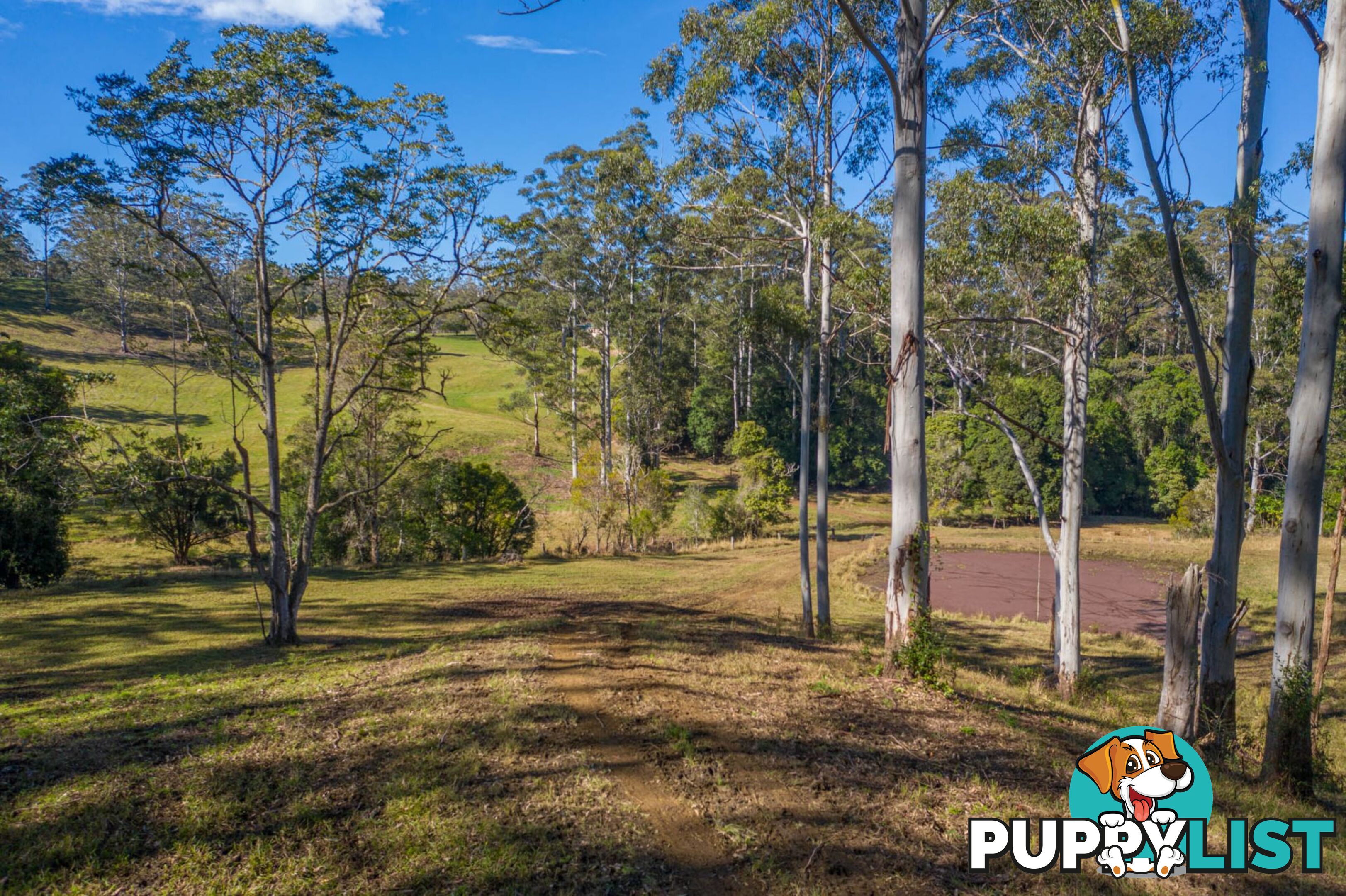 4358 Kyogle Road LILLIAN ROCK NSW 2480