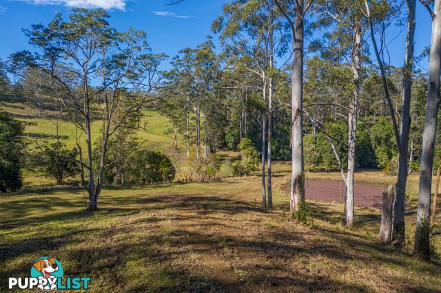 4358 Kyogle Road LILLIAN ROCK NSW 2480