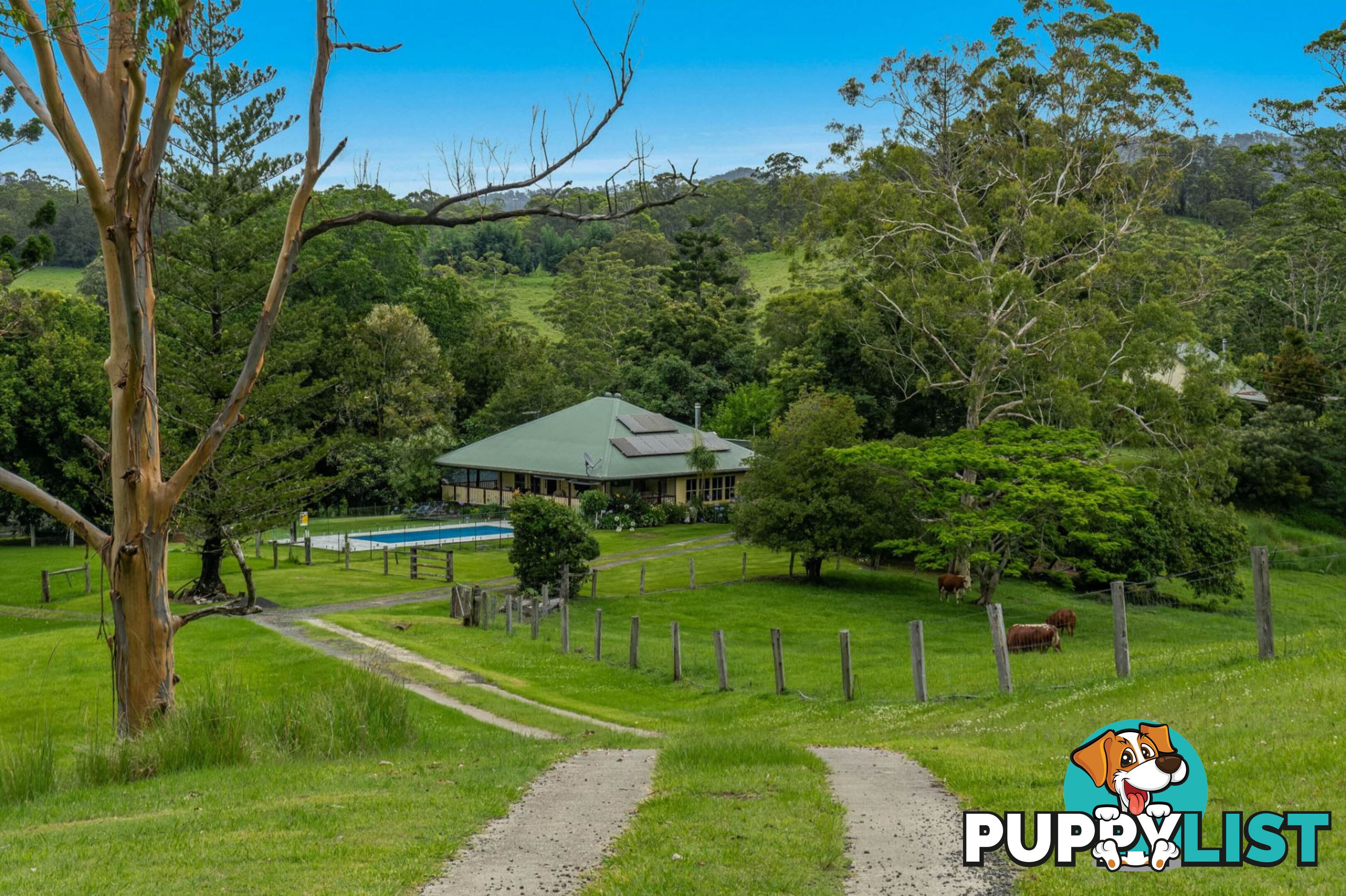 4358 Kyogle Road LILLIAN ROCK NSW 2480