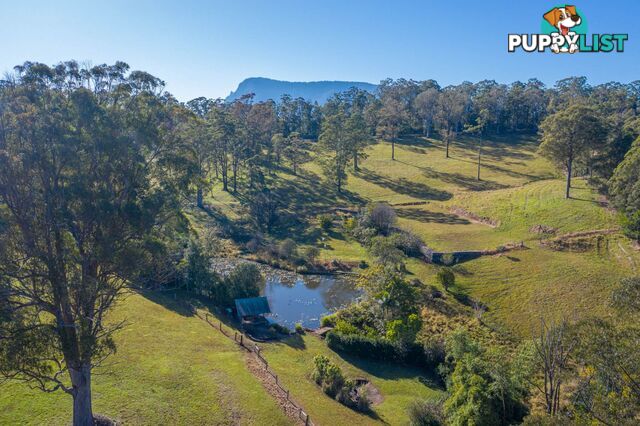 4358 Kyogle Road LILLIAN ROCK NSW 2480