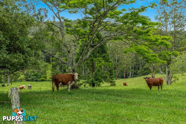 4358 Kyogle Road LILLIAN ROCK NSW 2480