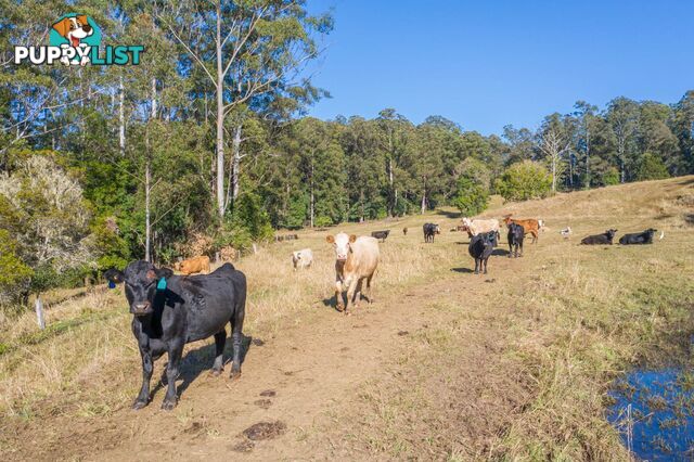 4358 Kyogle Road LILLIAN ROCK NSW 2480