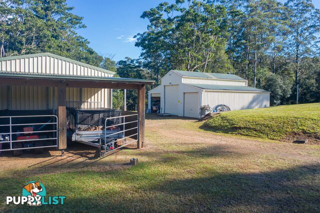 4358 Kyogle Road LILLIAN ROCK NSW 2480