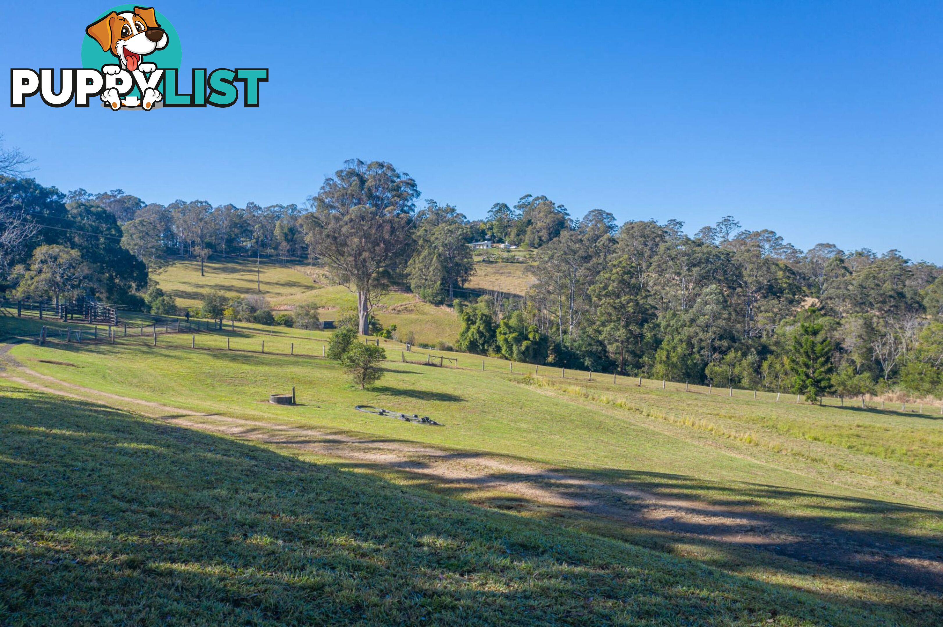 4358 Kyogle Road LILLIAN ROCK NSW 2480