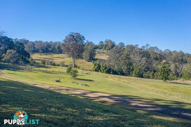 4358 Kyogle Road LILLIAN ROCK NSW 2480