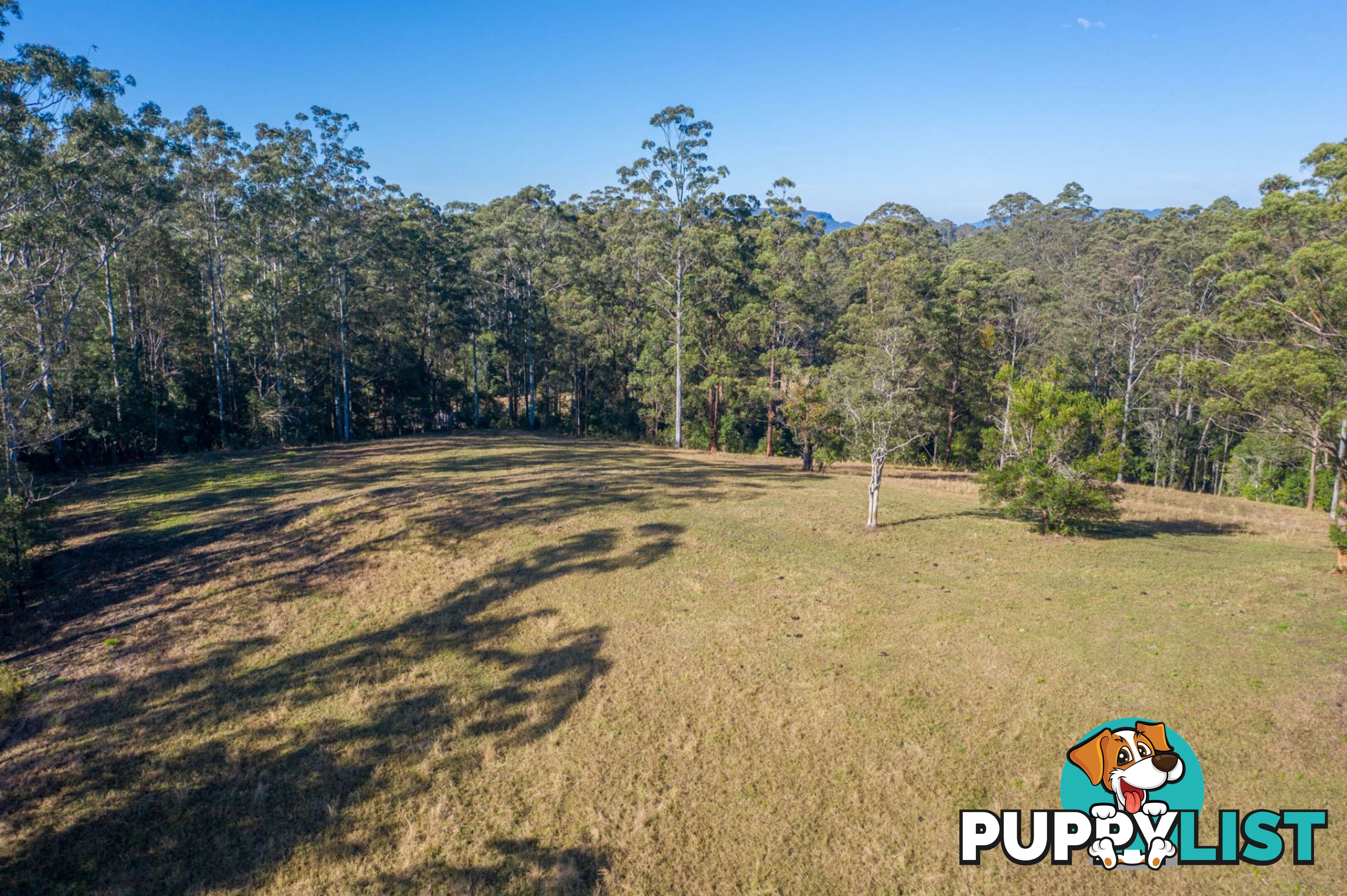 4358 Kyogle Road LILLIAN ROCK NSW 2480