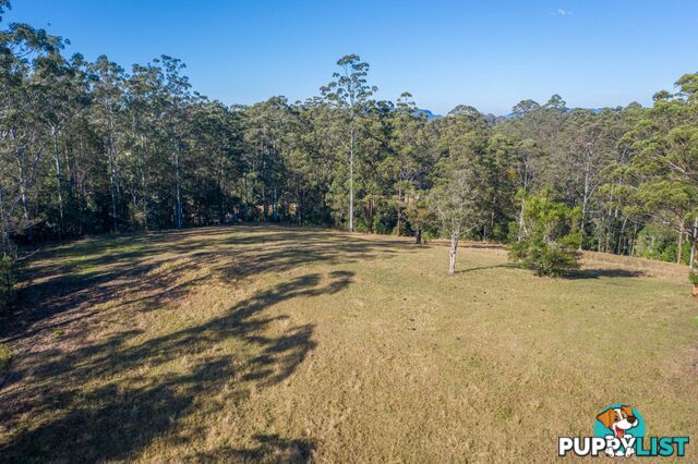 4358 Kyogle Road LILLIAN ROCK NSW 2480