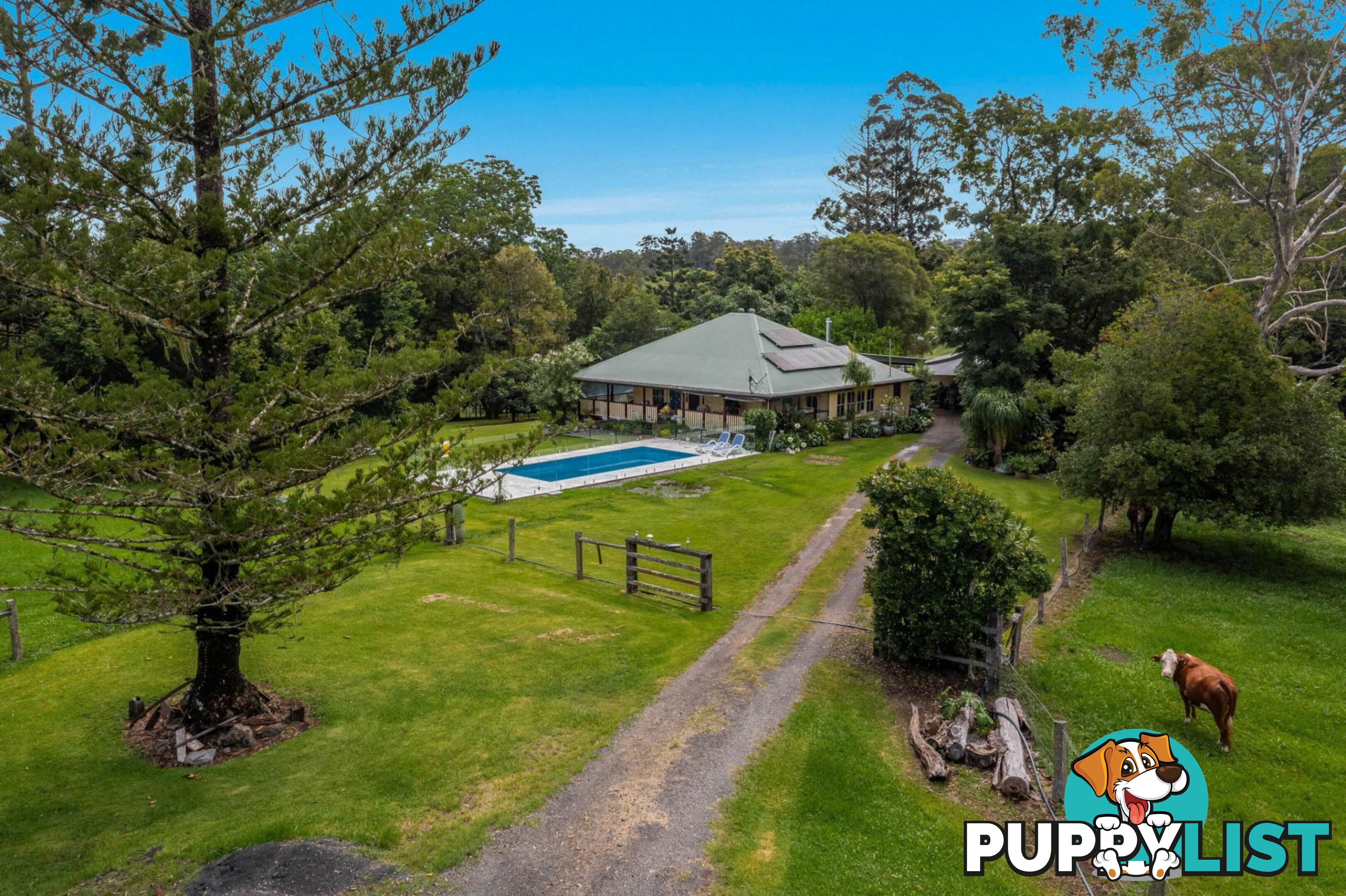 4358 Kyogle Road LILLIAN ROCK NSW 2480