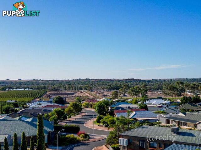 8 Wilton Court Waikerie SA 5330