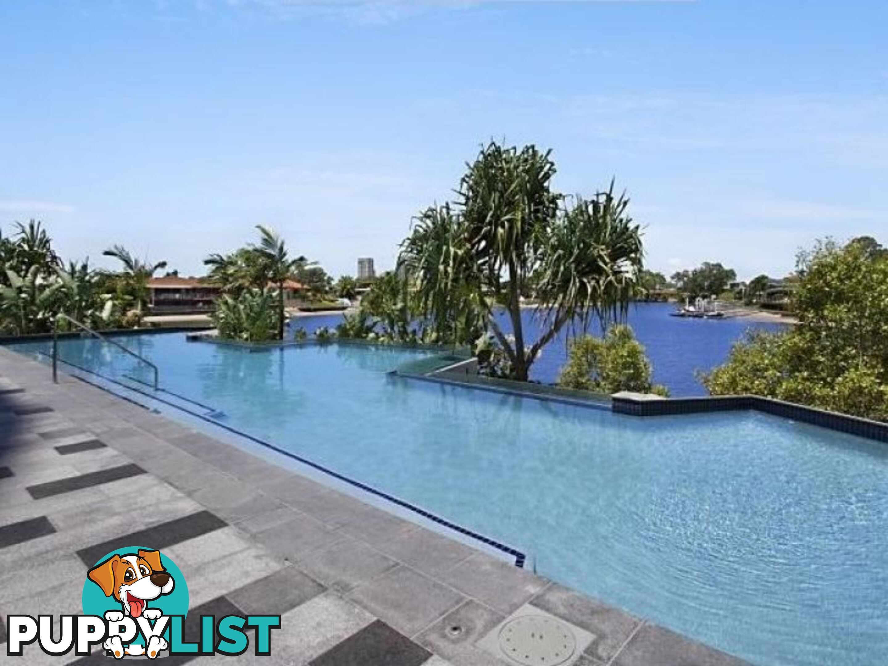 2108 5 Harbourside Court Biggera Waters QLD 4216