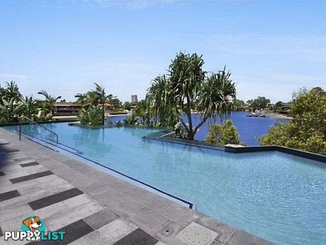 2108 5 Harbourside Court Biggera Waters QLD 4216