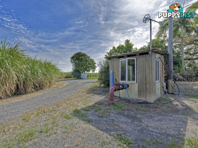 Moore Park Beach QLD 4670