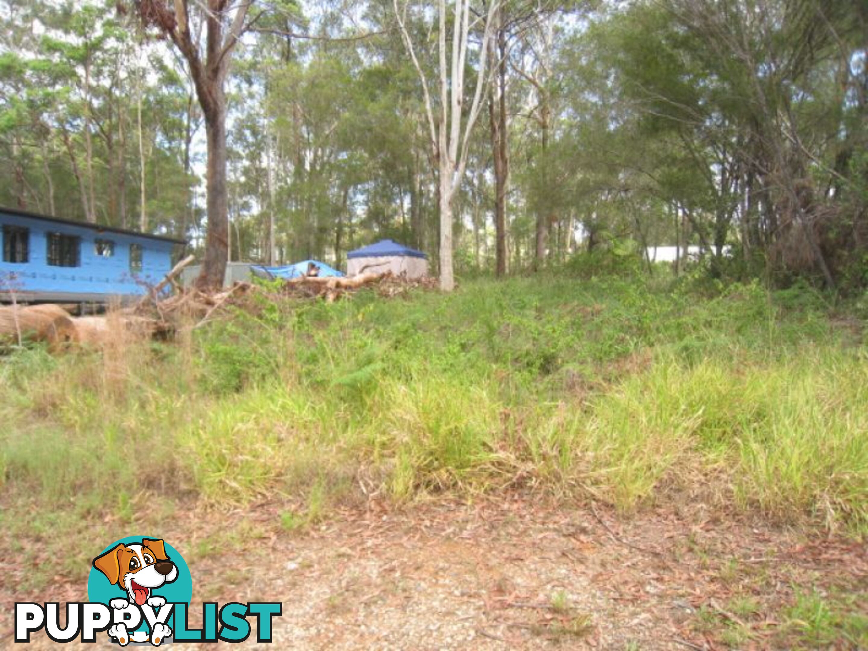 24 Diamond St Russell Island QLD 4184