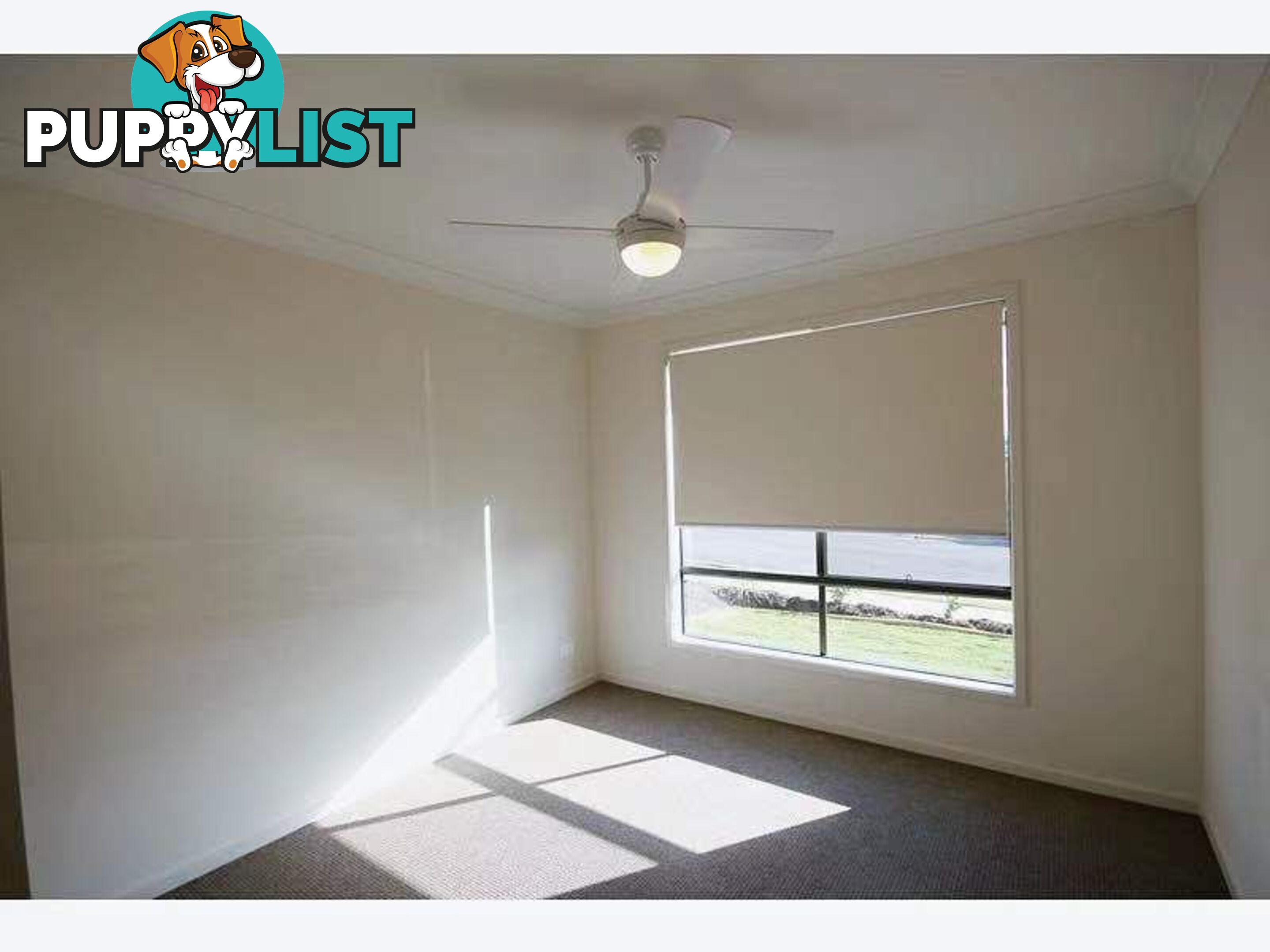 17 Mount Pleasant Street Park Ridge QLD 4125