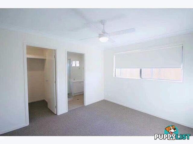 17 Mount Pleasant Street Park Ridge QLD 4125